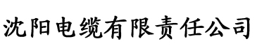 辻井美穂电缆厂logo